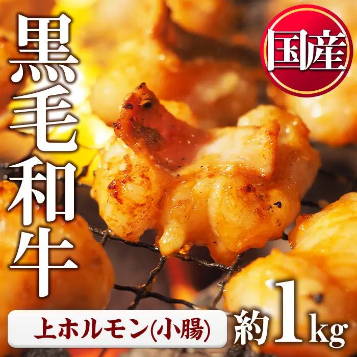 ホルモン 黒毛和牛 上ホルモン (計1kg) 【LRプラスK】 No.1001-02