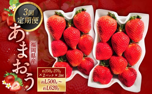 【3ヶ月定期便】あまおう 約250～270g × 2パック × 3回 （合計 ： 約1500g～1620g） 【2027年2月上旬～4月下旬発送予定】 あまおう いちご イチゴ 苺 果物 くだもの フ