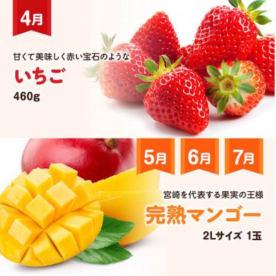 ふるさと納税 川南町 【発送月固定定期便】『いいとこどり』大人気くだもの定期便(川南町)全6回 |  | 02