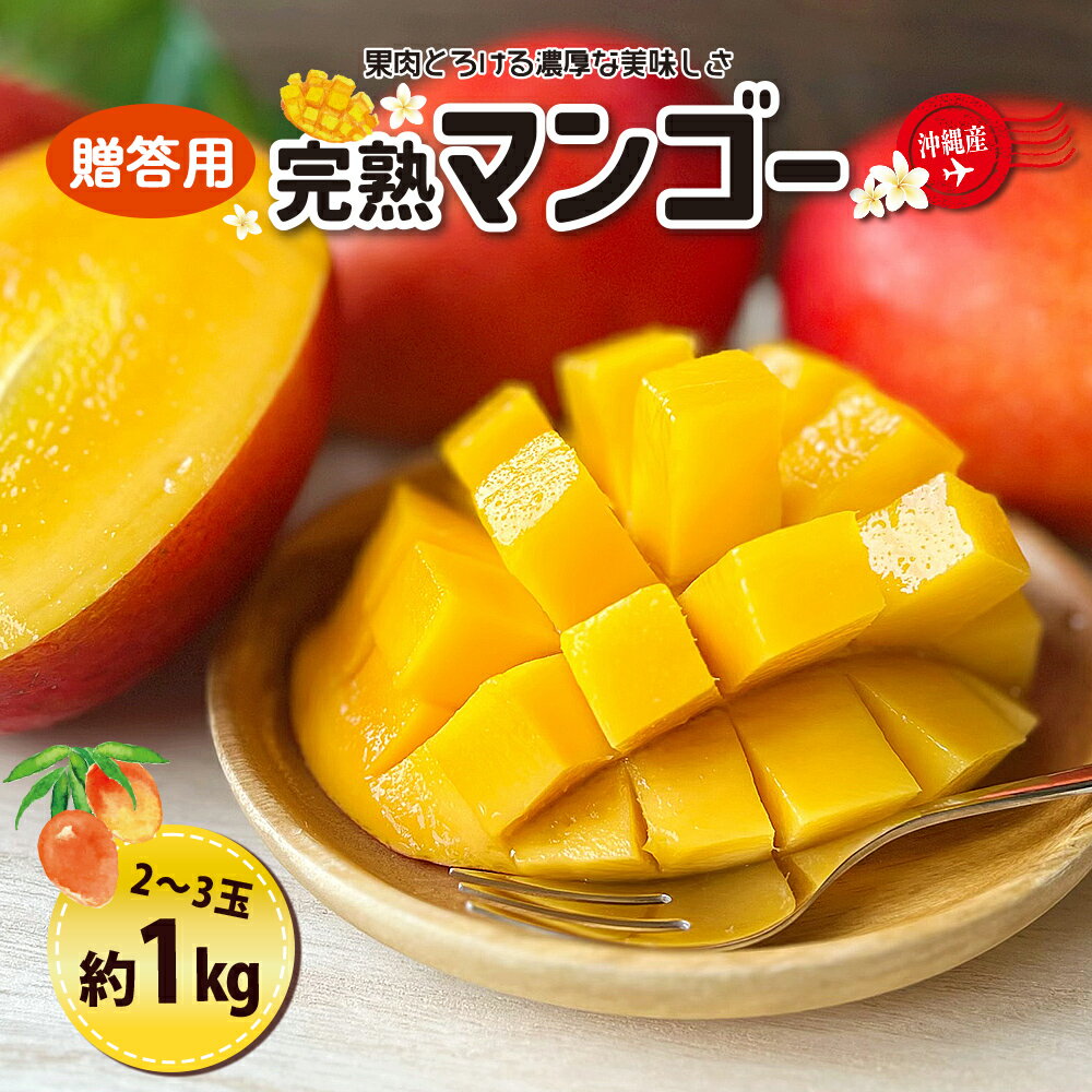 【ふるさと納税】贈答用マンゴー1kg （2〜3玉）【熱帯資源植物研究所】 マンゴー 沖縄 秀品 ギフト 完熟マンゴー アップルマンゴー フルーツ 果物 産地直送 プレゼント 贈り物 国産 お取り寄せ うるま市