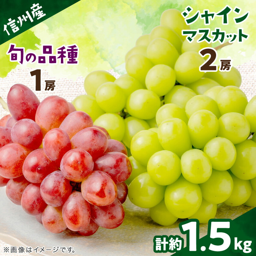 【ふるさと納税】【信州産ぶどう3房セット】 シャインマスカット2房・旬の品種1房(約500g×3房)【配送不可地域：離島】【1221645】