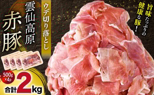 長崎県産 雲仙高原 赤豚 国産 豚ウデ 切り落とし2kg（500ｇ×4P入） 長崎県/長崎県農産品流通合同会社 [42AMAE004] 切り落とし 大容量 小分け しゃぶしゃぶ