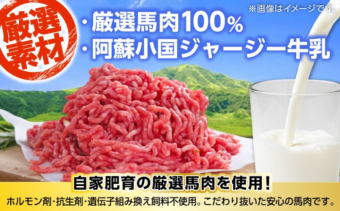 馬肉100% ハンバーグ 150g×10個