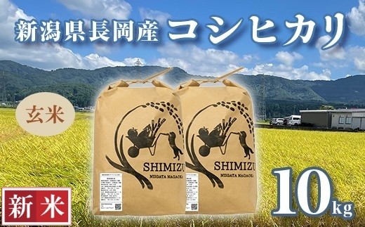 
                  N5-8G101新潟県長岡産コシヒカリ玄米10kg
                