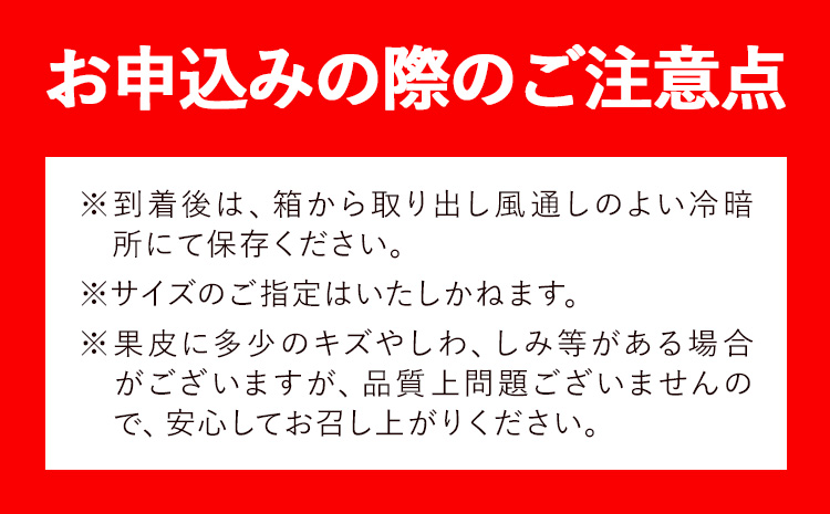 とにかくジューシー 清見 オレンジ 約5kg 株式会社魚鶴商店《2027年3月下旬-5月上旬頃出荷》和歌山県 日高川町 柑橘 果物 フルーツ 清見オレンジ