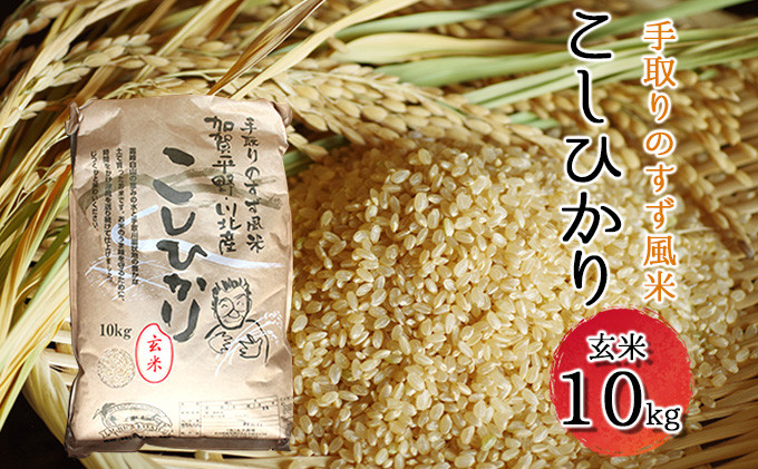 
[№5528-0015]【令和4年度産】手取りのすず風米こしひかり 玄米 10kg
