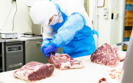 『純国産』熊本の味「桜」 国産 馬肉 100% 馬肉 ウインナー 5本【有限会社 九州食肉産業】[AYCN122]