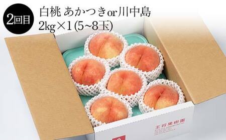 《先行予約 2025年度発送》果樹園物語S ≪果物 3回定期便≫ FSY-1862