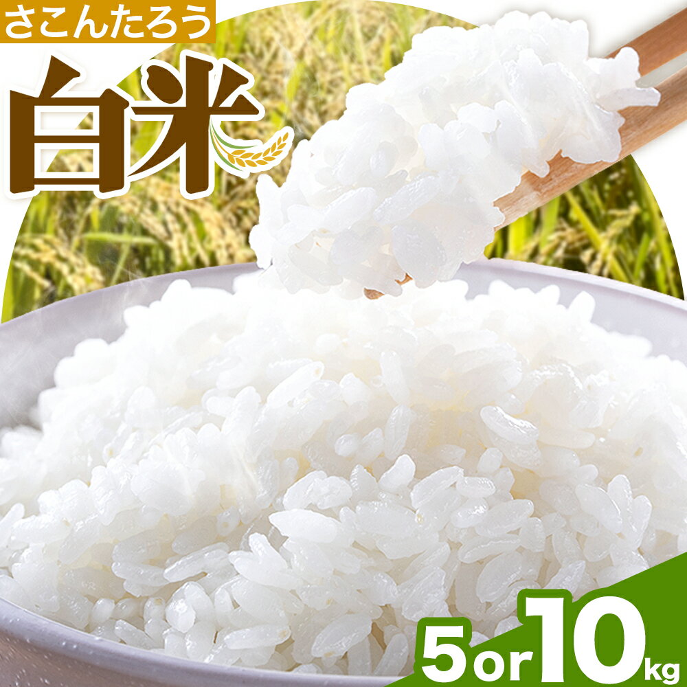 【ふるさと納税】白米 5kg 10kg さこんたろう《90日以内に発送予定(土日祝除く)》熊本県 御船町 コメ おこめ 白米 ごはん 熊本県産