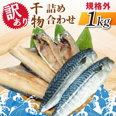 ふるさと納税 神栖市 【訳あり】規格外　干物詰め合わせ　1kg