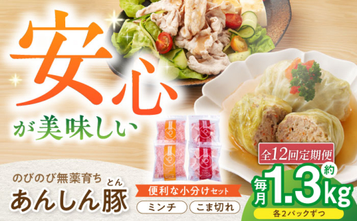 【12回定期便】あんしん豚 バラ凍結 ミンチ＆小間セット 豚肉 小分け 国産 白川町 / 藤井ファーム [AWAF021]