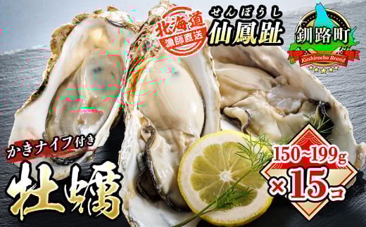 北海道 仙鳳趾名産 牡蠣 150g～199g×15コ＋かきナイフ付き かき漁師直送K4-3＜出荷時期：2025年8月1日ごろ～順次出荷＞＜センポウシ : 釧路町の東 厚岸湾の西 カキの名産地＞ | せんぽうし 牡蠣 生食用 殻付き 生牡蠣 絶品 産地直送 北海道 釧路町 釧路超 特産品