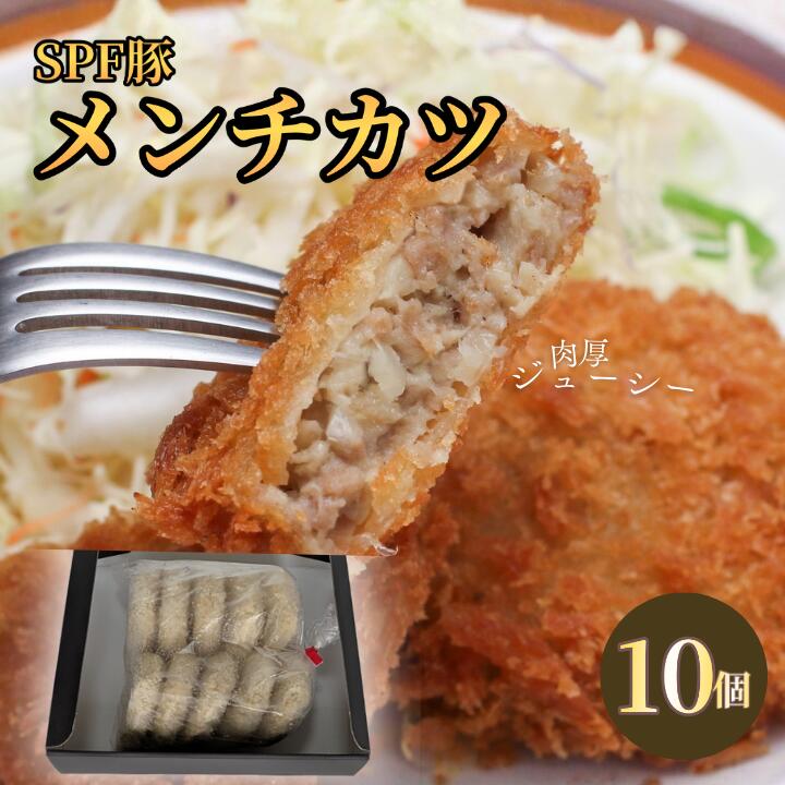 【ふるさと納税】SPF豚のメンチカツ 10個 （100g×10個） ／ メンチカツ メンチ 冷凍食品 冷食 惣菜 総菜 SPF豚 豚肉