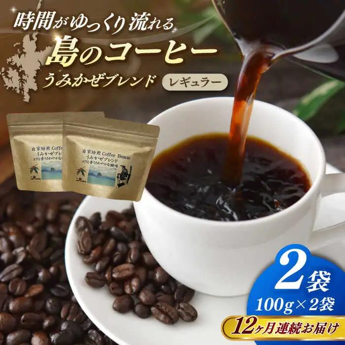 【全12回定期便】Fuuki Coffee Roaster Coffee Beans うみかぜブレンド2パック[RBO025] コーヒー 珈琲 コーヒー 珈琲 コーヒー 珈琲 コーヒー 珈琲九州 長崎