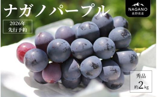 MS33-26A 【先行予約】 ぶどう ナガノパープル （長野県産秀品） 約2kg / 2026年8月下旬～10月上旬頃 配送予定 // 種なし 皮ごと 葡萄 ブドウ ぶどう ナガノ パープル 南信州 長野県 オリジナル品種 稀少
