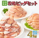 【ふるさと納税】若鶏4kgビッグセット 真空パック カット済 小分け 肉 切身 鶏肉セット 若鶏 もも切身 むね切身 筋なしささみ 冷凍 料理 おかず BBQ おすすめ 宮崎県産 国産 送料無料【TRT08】