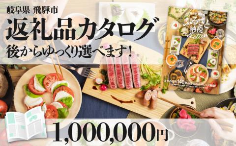 後からゆっくり返礼品を選べる♪飛騨市のふるさと納税カタログ 飛騨牛 日本酒 ヨーグルト チーズ ハンバーグ など約200種類以上[cat100]