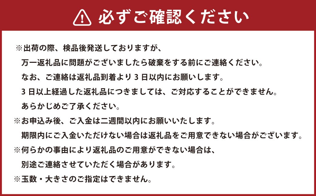 【いちごさん】佐賀県産いちご 約1kg