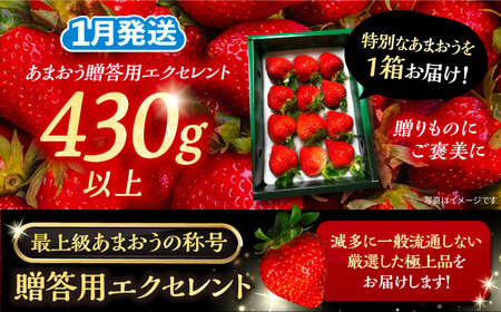 【先行予約】【1月発送】 あまおう 贈答用 エクセレント 430g以上×1箱 《豊前市》【内藤農園】果物 いちご[VAB009] 贈答あまおう あまおういちご あまおう苺 あまおうギフト 贈答あまおう