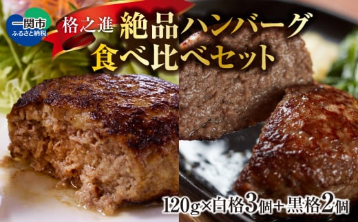 《格之進》絶品ハンバーグ【白格・黒格】食べ比べセット(120g)計5個 お歳暮 プレミアム お弁当 個包装 お惣菜 小分け 子供 簡単調理 肉 岩手 一関 贈り物 冷凍 人気