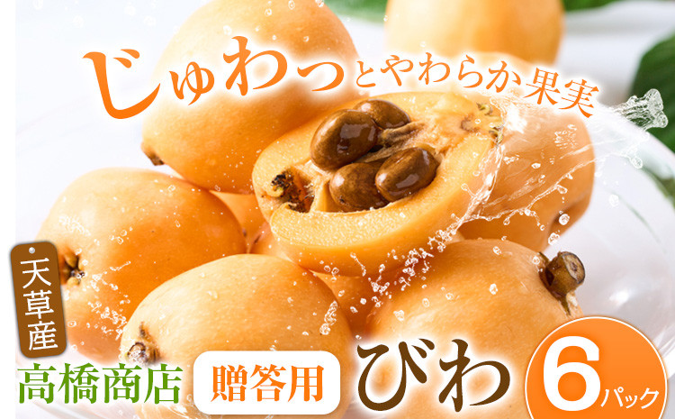 
            【先行予約】天草産 びわ 6パック 贈答用 贈答用 フルーツ 果物 くだもの びわ ビワ 枇杷 熊本県 苓北町 高橋商店《2026年5月中旬-6月中旬に出荷予定》【配送不可地域あり】
          