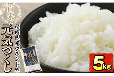 ＜令和7年産＞福岡県産ブランド米「元気つくし」白米(5kg)お米 5キロ ごはん ご飯【ksg0376】【朝ごはん本舗】