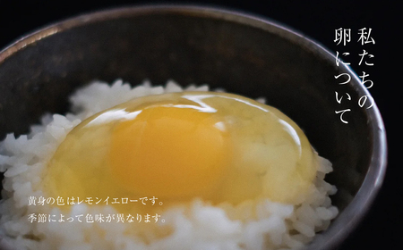 【全6回定期便】平飼い有精卵 30個《西粟倉村》【株式会社点々】t-SS-CnDA
