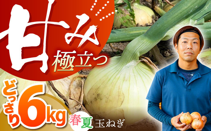 
                  【先行予約】【毎日のお料理に】玉ねぎ タマネギ 江北町産 たまねぎ 約6kg【百武青果】 [HAE008] 玉ねぎ 江北町
                