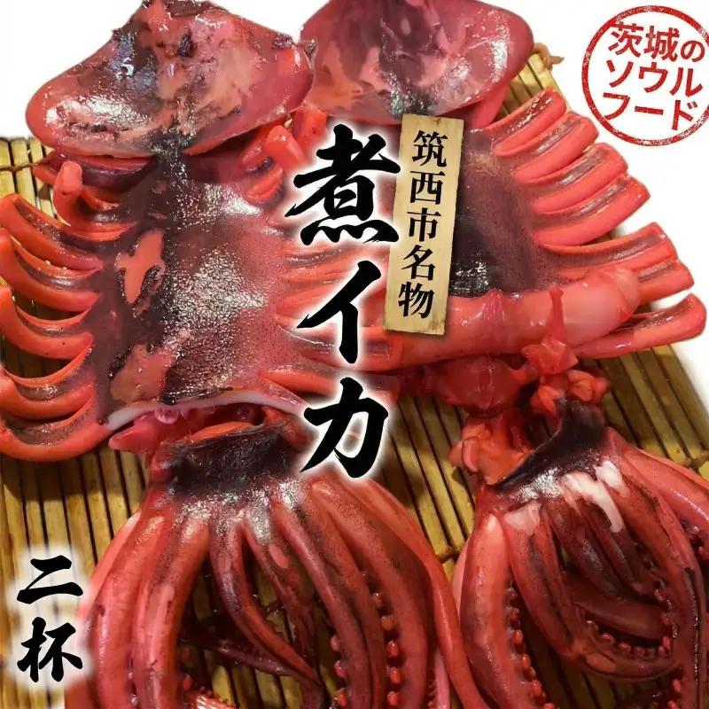 筑西市名物 煮イカ（二杯） いか 筑西 茨城 ソウルフード ご当地グルメ 名物 海鮮 魚介 冷凍