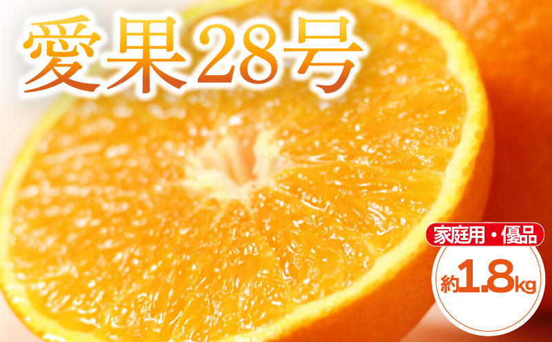 【2026年11月中旬頃から発送予定】愛果28号 (紅まどんな と同品種) 家庭用(優品) 約 1.8kg 4-9玉 / L-4L  |  愛媛産 愛媛県産 国産 愛媛みかん 愛媛蜜柑 愛媛ミカン みかん ミカン mikan 蜜柑 柑橘 フルーツ 果物 くだもの お取り寄せ 産地直送 数量限定 人気 おすすめ 愛媛県 松山市 送料無料