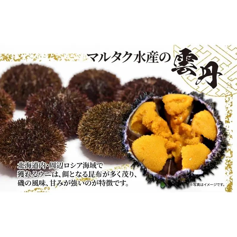 2ヵ月 定期便 うに ロシア産 バフンウニ 塩水パック 100g×2 【マルタク水産】[ 雲丹 ウニ 新鮮 海産物 冷蔵 濃厚 甘い ] 