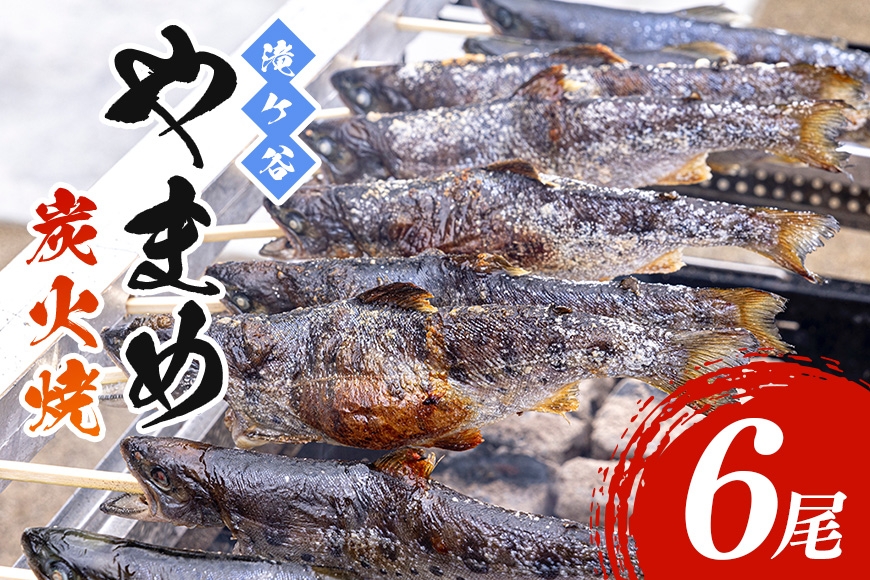 
                  [№5895-0624]【ふるさと納税】炭火焼き ヤマメ やまめの炭火焼 6尾入り 魚 炭火焼 焼き魚 焼魚 川魚 おかず つまみ 酒の肴 おつまみ 惣菜 加工品 簡単調理 急速冷凍 冷凍 特産品 個包装 お取り寄せ グルメ ギフト 贈り物 プレゼント 広島県 安芸高田市 送料無料 人気 滝ヶ谷
                