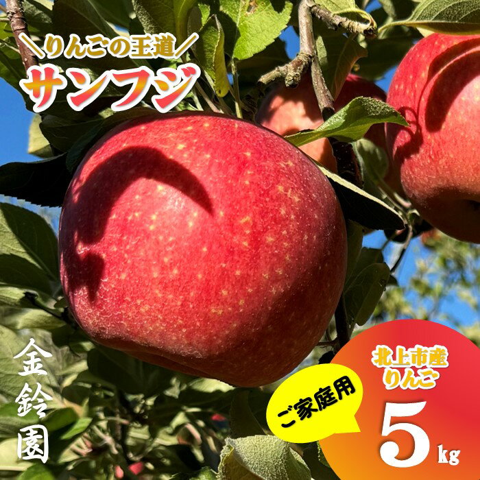 【ふるさと納税】＼予約受付 11月下旬より発送開始予定／【 北上市産 りんご 】サンふじ 【 家庭用 】 5キロ (約13〜20玉) 林檎 リンゴ サンフジ 5kg 国産 東北 岩手 産地直送 送料無料 フルーツ 果物 果実 金鈴園 岩手県 北上市 C0171 訳あり 季節限定 秋 冬