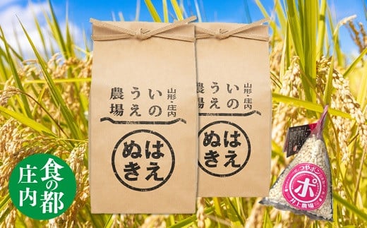 
                  食の都庄内　井上農場の特別栽培米はえぬき5kg×2袋+つやポン
                