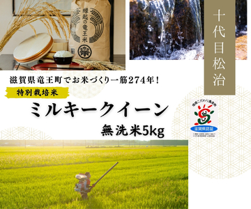 【新米】ミルキークイーン 無洗米 5kg 縁起の竜王米 （令和7年産）