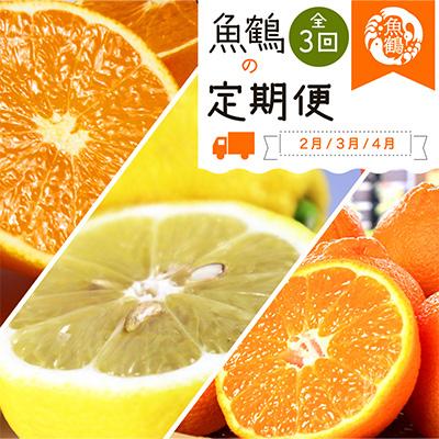 ふるさと納税 美浜町 【発送月固定定期便】紀州和歌山産旬の柑橘セット(不知火・レモン・清見)全3回