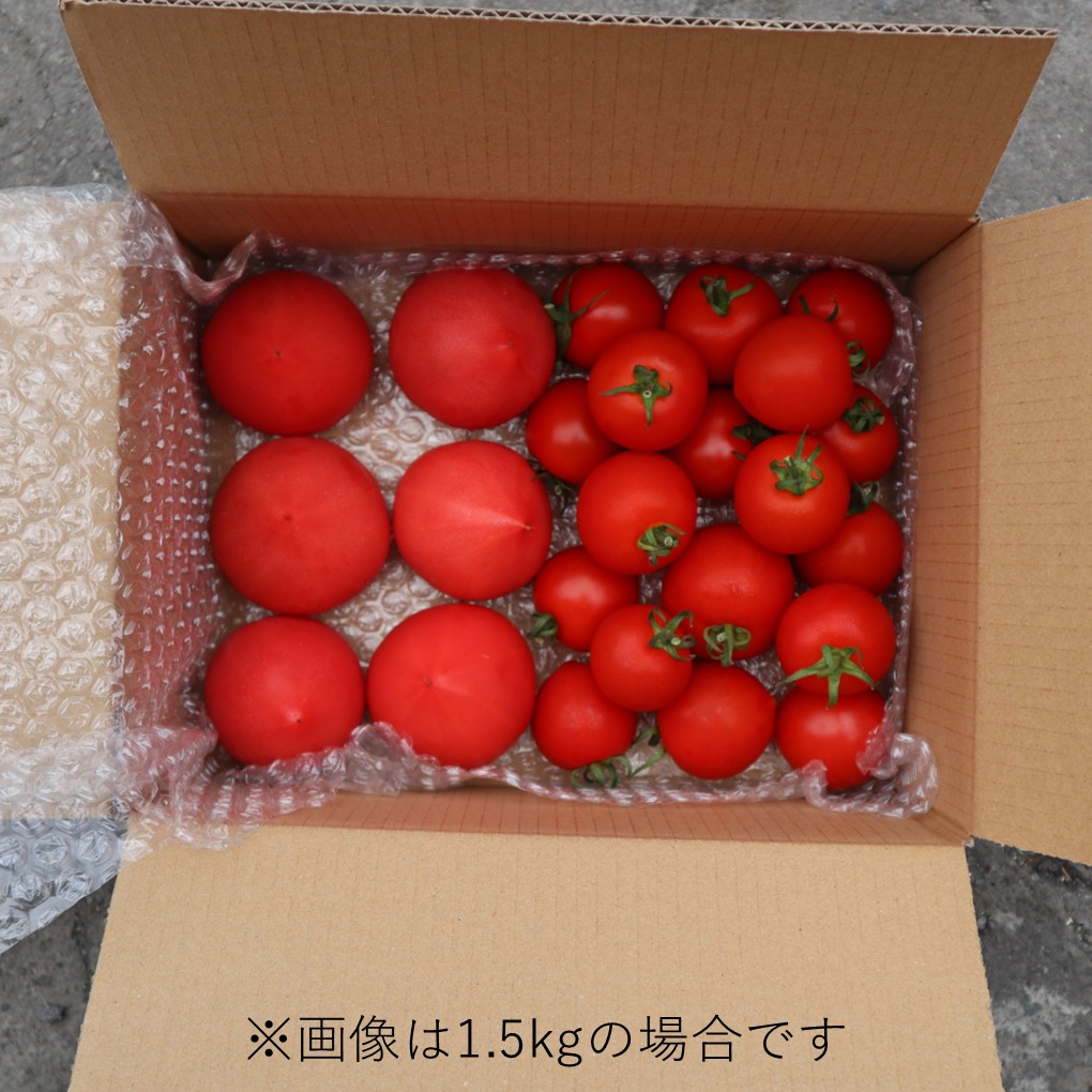 北海道壮瞥町産 トマト食べ比べ2種セット3kg(ラビットゴッホ＆ルネッサンス) SBTAJ014