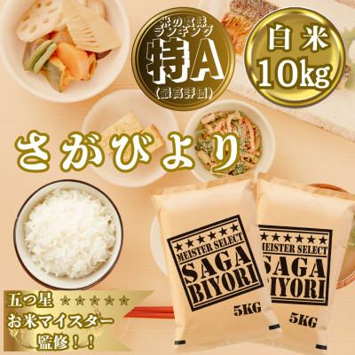 ふるさと納税 大町町 新米7年産『さがびより』白米10kg!(5kg×2袋)特A評価!五つ星お米マイスター厳選!(大町町)