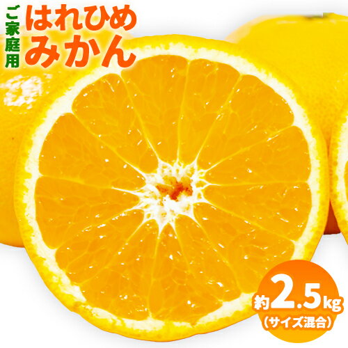【ふるさと納税】【先行予約】【希少柑橘】 はれひめみかん 約 2.5kg（サイズ混合　ご家庭用） 紀の川市厳選館《2025年12月上旬-2026年1月中旬頃出荷》 和歌山県 紀の川市 果物 フルーツ 柑橘 蜜柑 柑橘類 旬