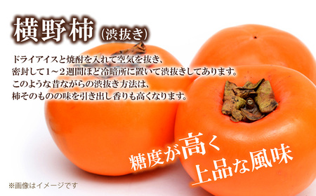 【先行予約・12月発送】 旬のフルーツ3種セット 紅まどんな あたご柿 横野柿 「周桑の味覚」 各3個入り　食べ比べ 詰め合わせ セット ギフト