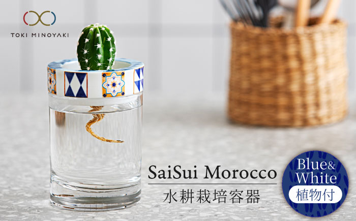 
【美濃焼】SaiSui Morocco（Blue＆White）植物付き【大東亜窯業】 [MAG072]
