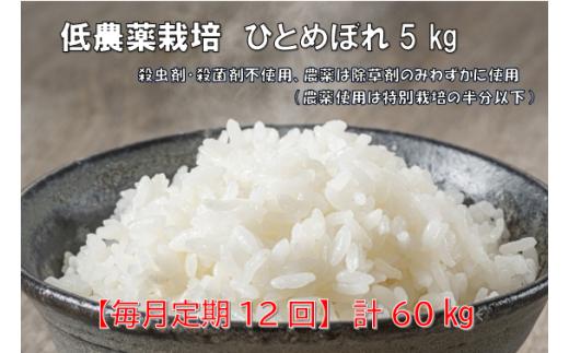 【新米先行予約】令和8年産 新米【毎月定期12回】低農薬栽培米 ひとめぼれ 5kg【精米】