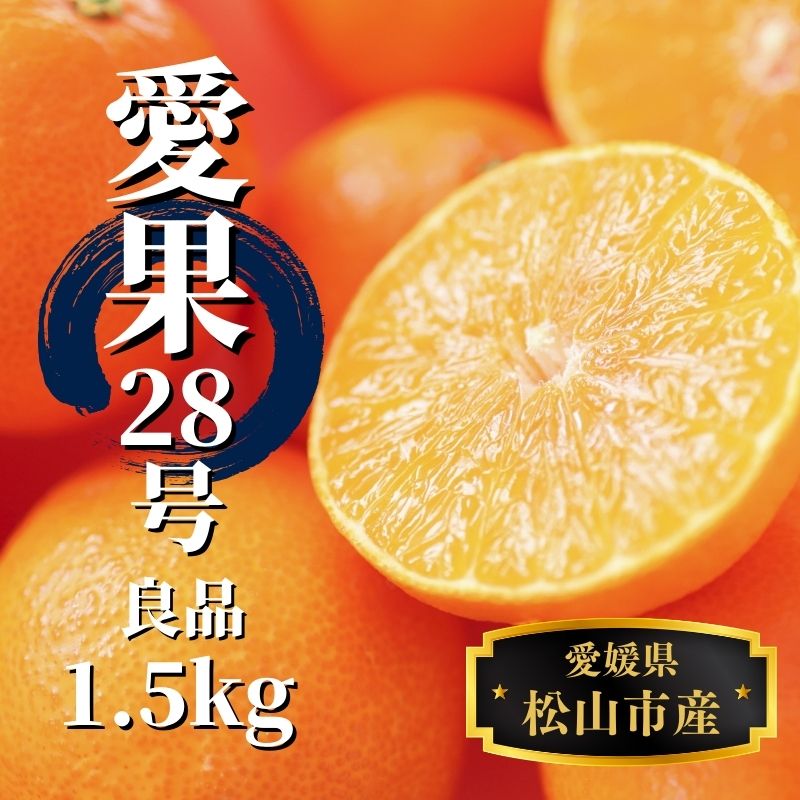 【早期予約受付中！2025年12月～順次発送】【あいか】 約 1.5kg 良品 みかん 先行予約 蜜柑 柑橘 果物 くだもの フルーツ お取り寄せ グルメ 期間限定 数量限定 人気 おすすめ 愛媛県 松山市