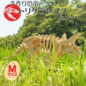 パズル 恐竜 トリケラトプス Mサイズ 立体 パズル