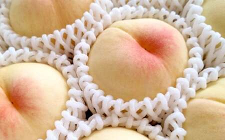 もっとも旬な桃をお届け 岡山の桃 3.6キロ【2026年6月下旬～9月下旬まで順次発送予定】【桃 人気フルーツ 人気桃 おすすめフルーツ 岡山桃 岡山フルーツ 岡山県 倉敷市】