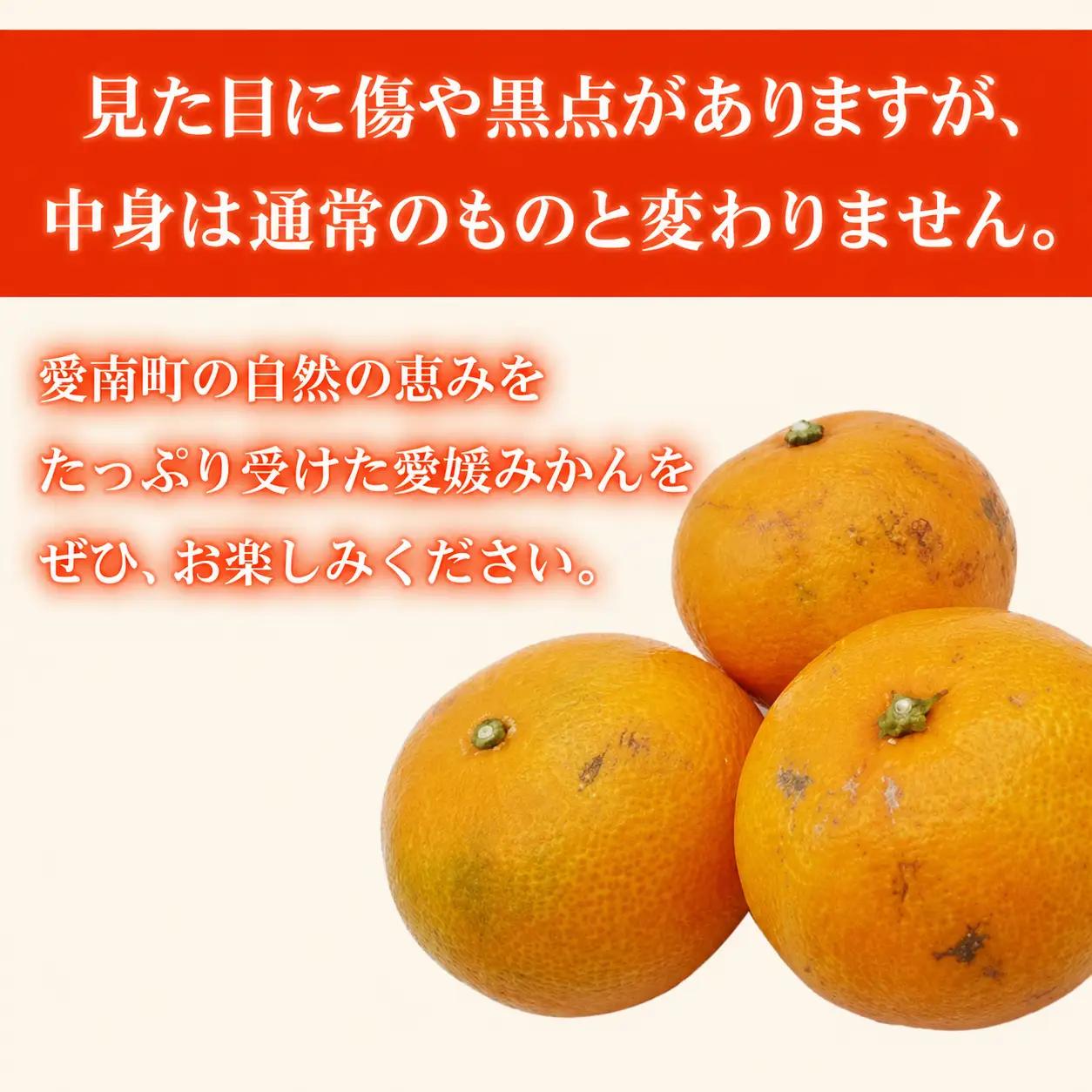 【愛媛みかん】 訳あり 3kg みかん