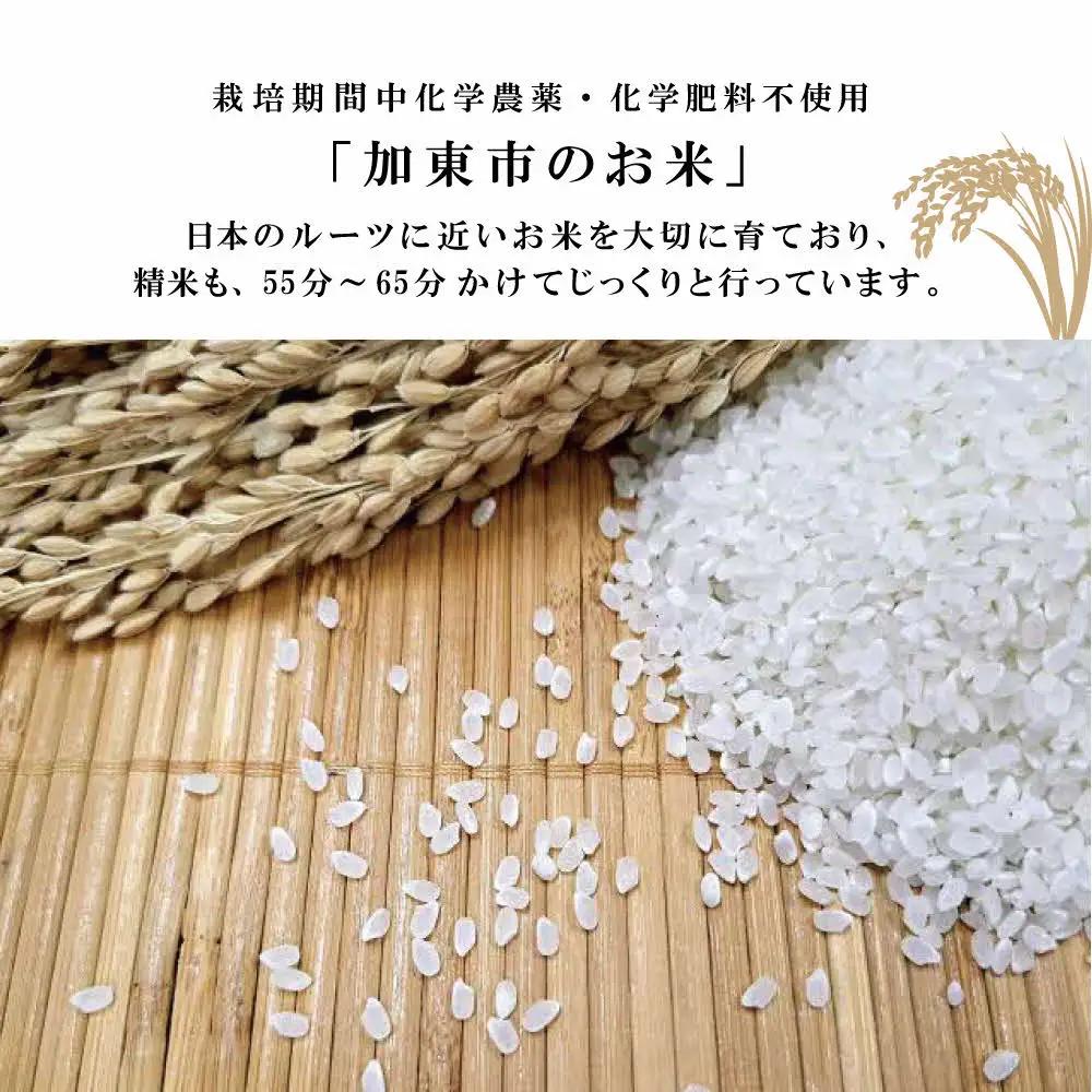 栽培期間中化学農薬・化学肥料不使用のお米 5kg [米 こめ コメ 精米  ライス ご飯 おにぎり お弁当 和食 主食 国産 炭水化物 直送 産地直送 兵庫県産 日本産 ]