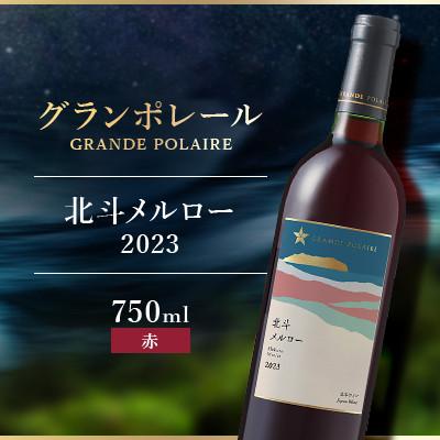ふるさと納税 北斗市 【サッポロビール発】グランポレール　北斗メルロー2023(日本ワイン・赤)　