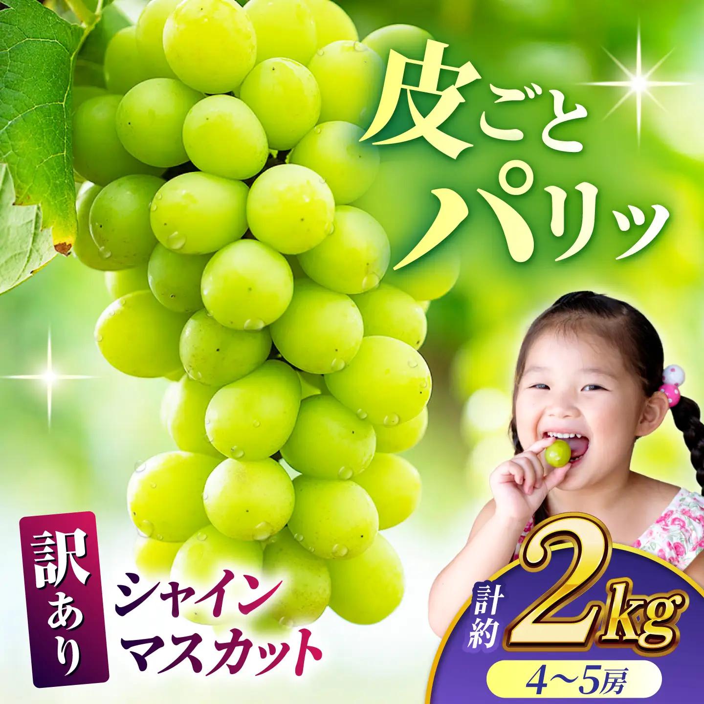 【訳あり】 シャインマスカット 約2kg(4?5房)【合同会社 社方園】[ZBZ032]