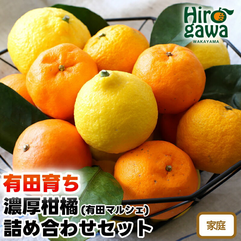 【ふるさと納税】【先行予約】 有田育ちの旬の 柑橘 詰め合わせ セット (ご家庭用)　※2026年1月中旬～2026年4月下旬に順次発送 ※北海道・沖縄・その他離島地域は発送不可 / みかん くだもの 晩柑 果実 蜜柑 柑橘 果物 フルーツ 国産 和歌山県 有田 //hassaku